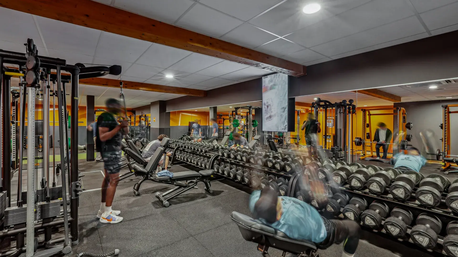 Miniature de la galerie