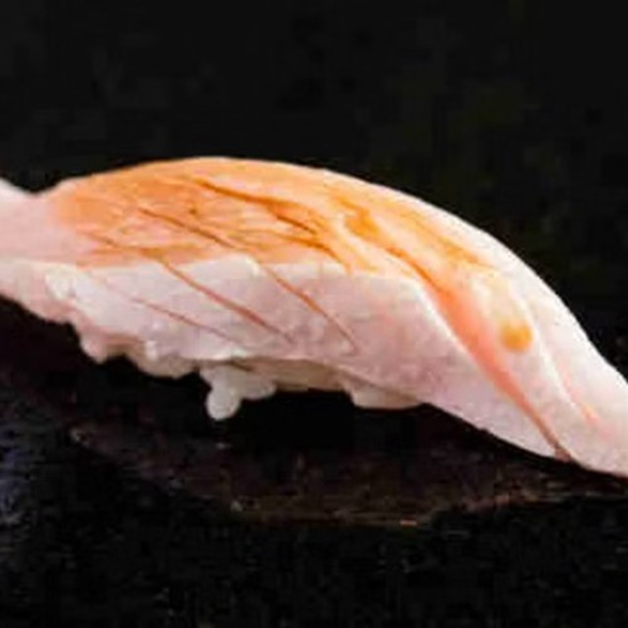 Yellowtail
