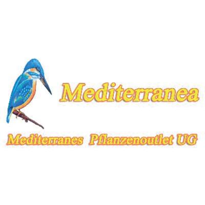 Logo von Mediterranea Mediterranes Pflanzenoutlet