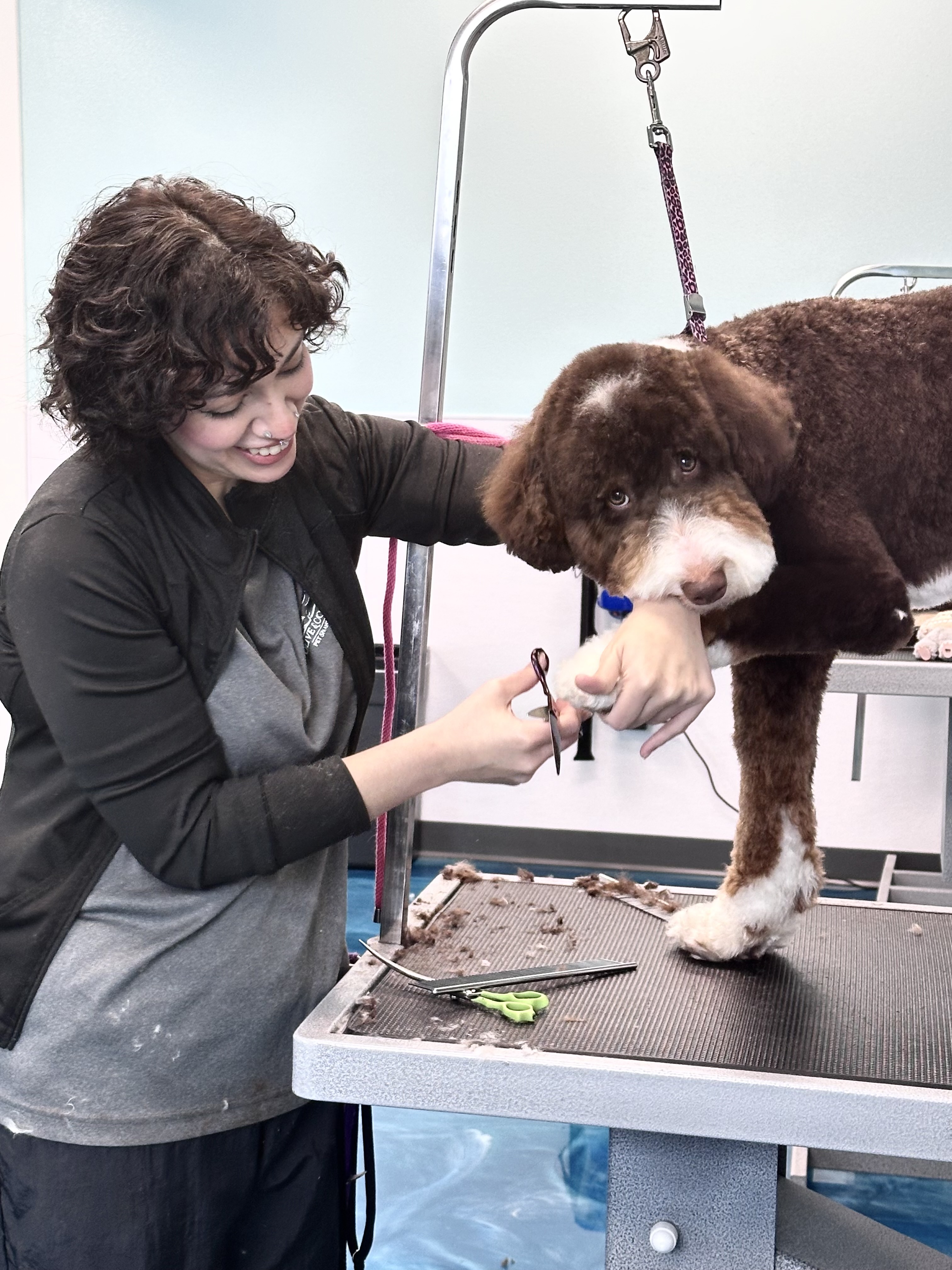 Dog grooming services