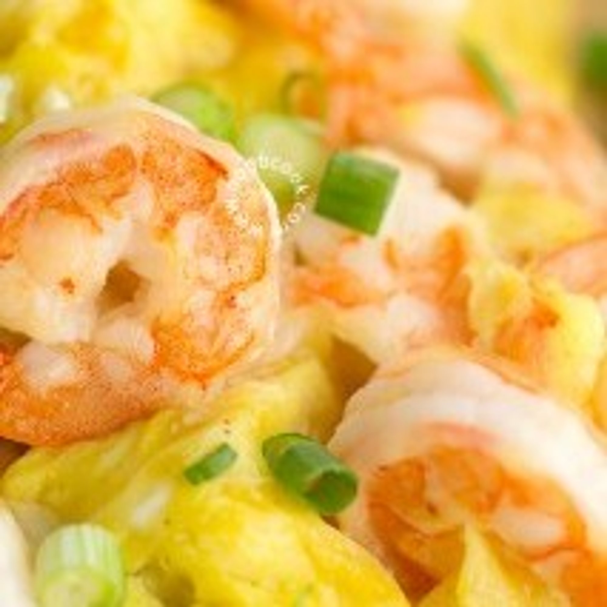 Shrimp Omelet