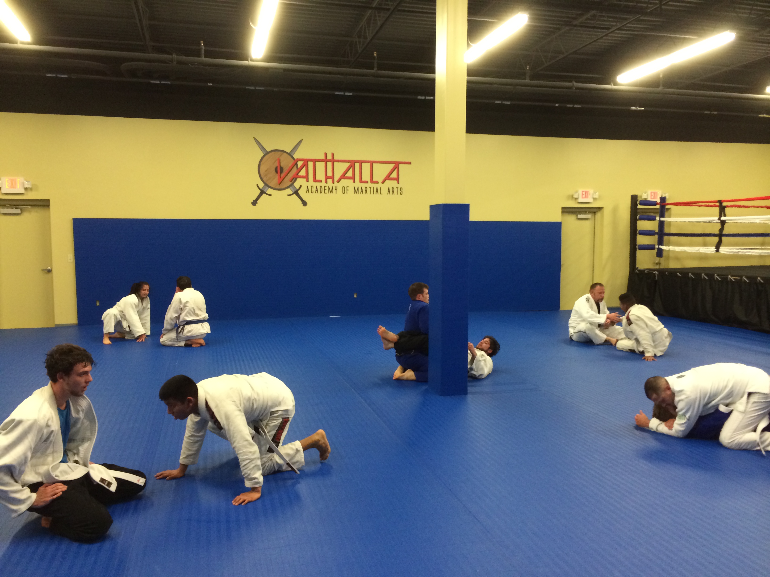 Valhalla Academy of Martial Arts Photo