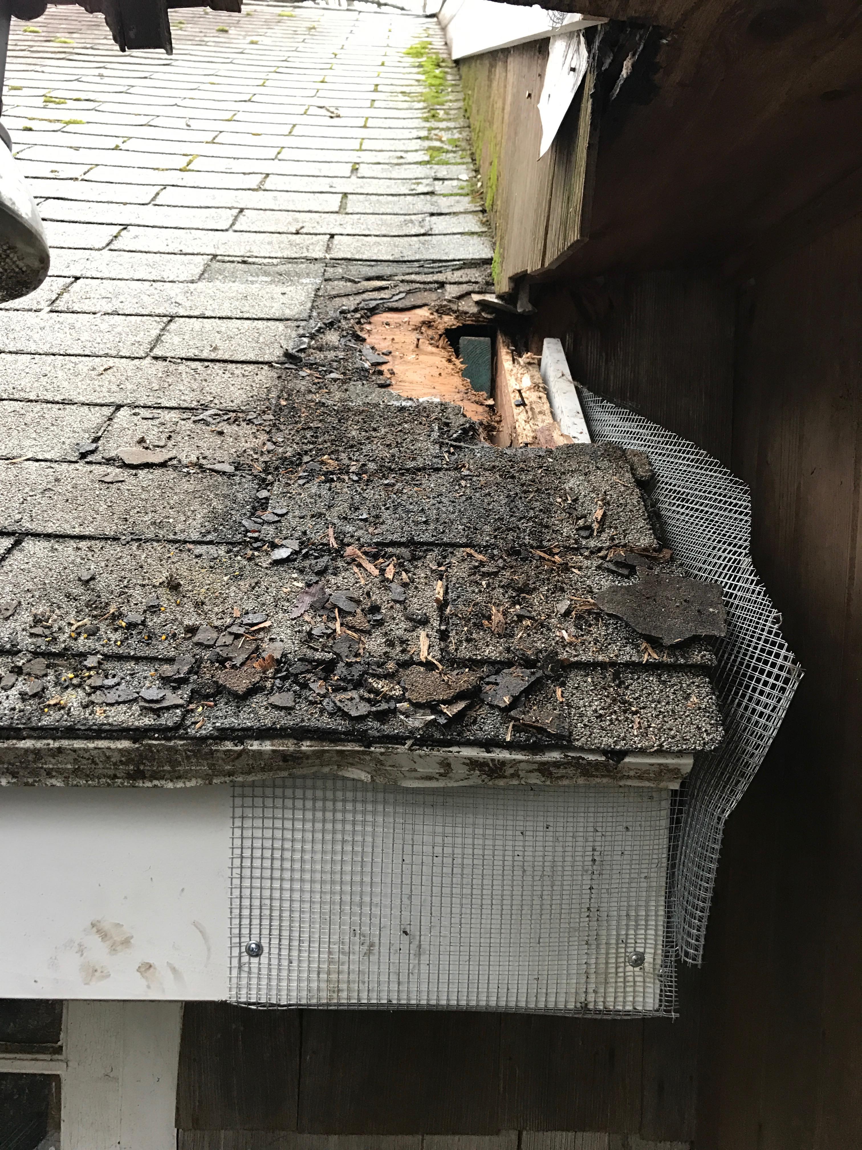 Gray Brothers Wildlife LLC Logo