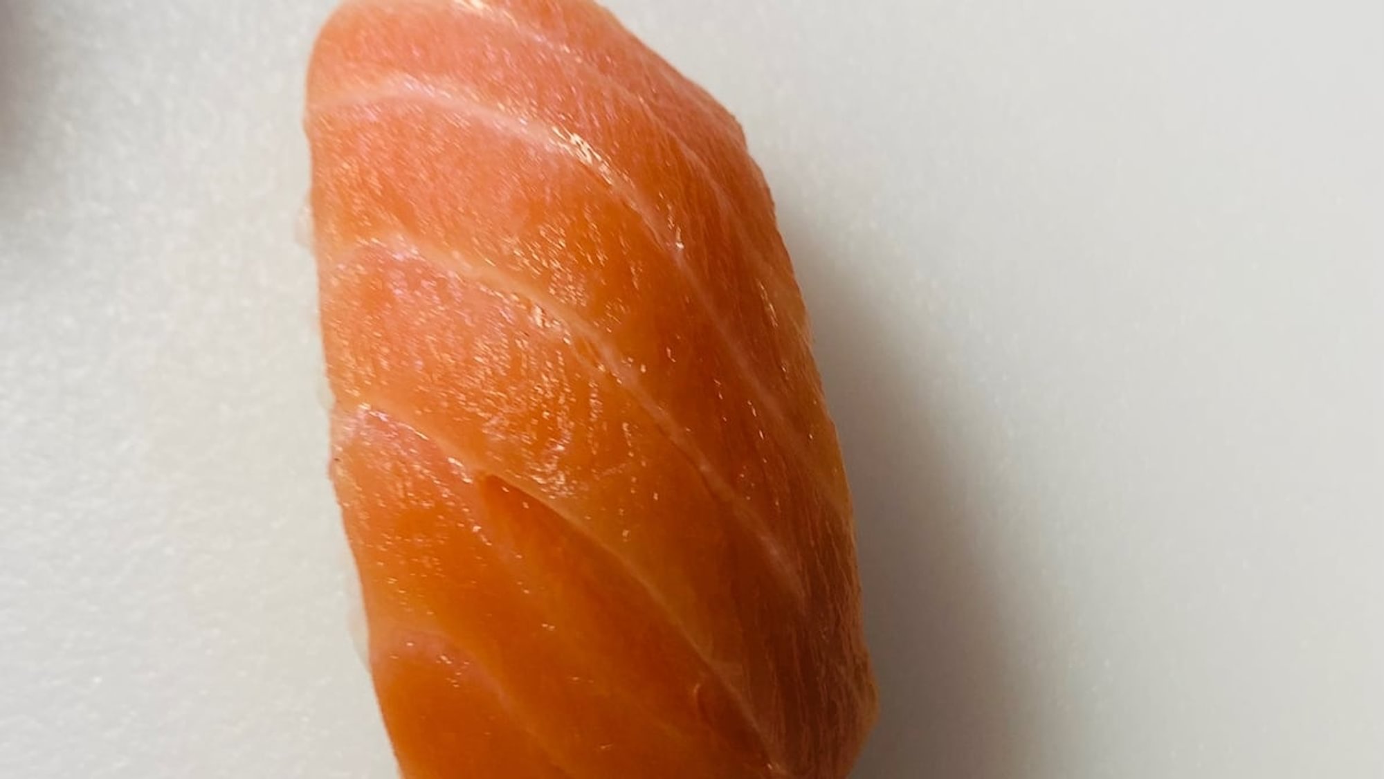 Salmon