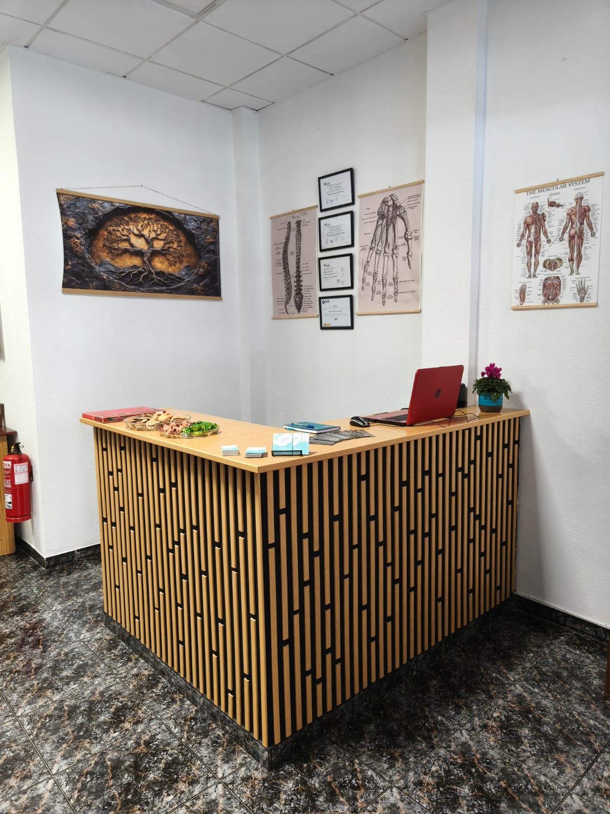 Galería en miniatura