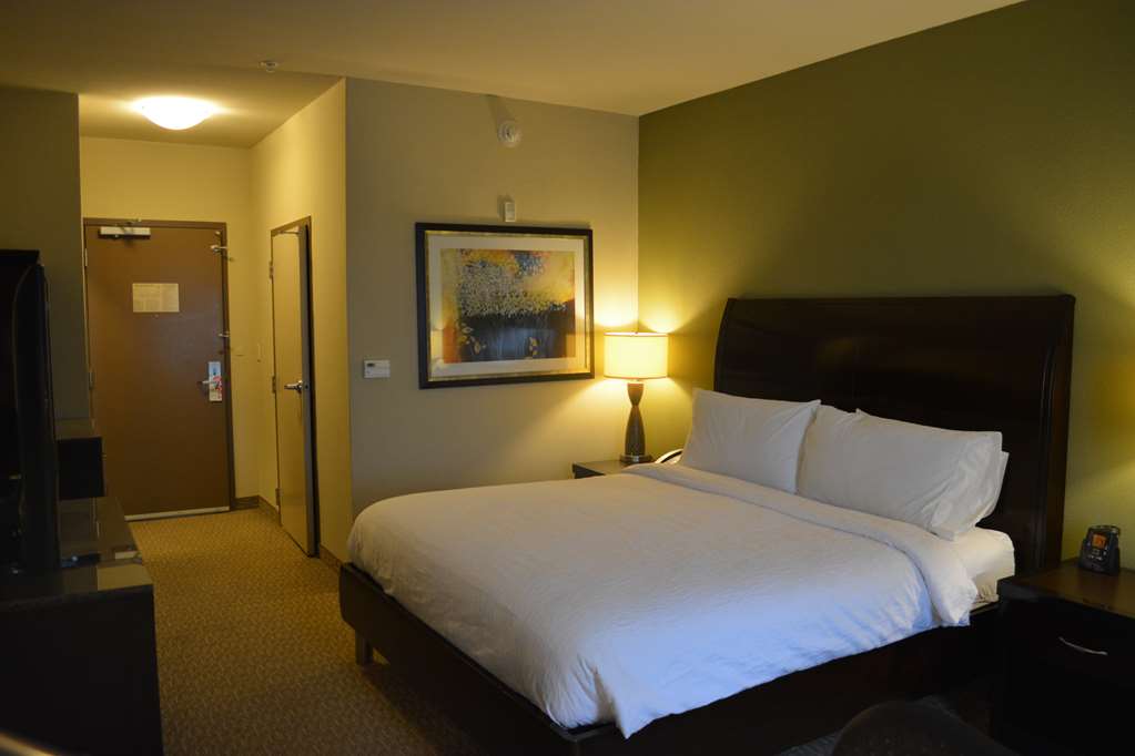 Hilton Garden Inn Houston-Pearland Image