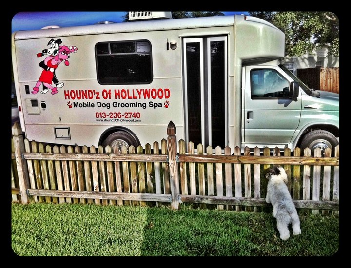 Houndz Of Hollywood Mobile Dog Grooming & Spa Photo