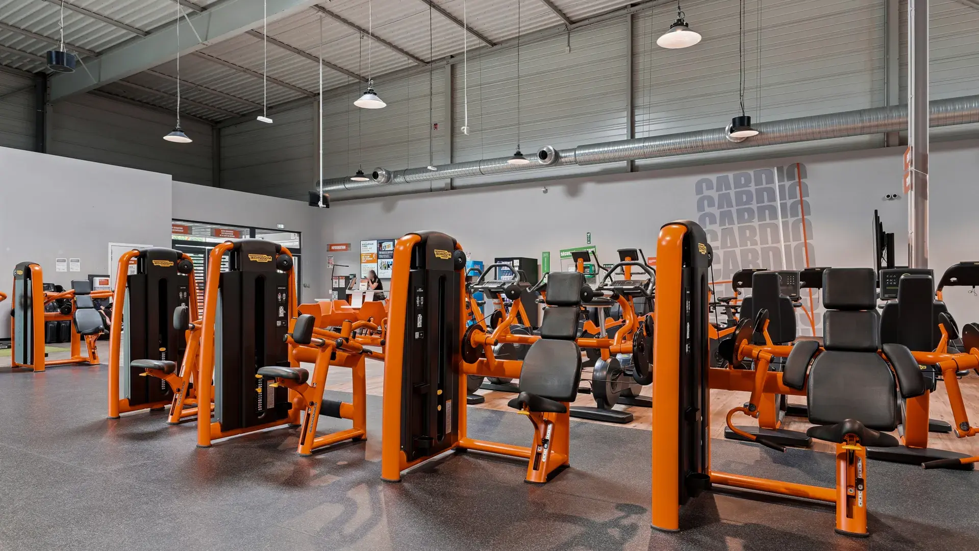 Miniature de la galerie