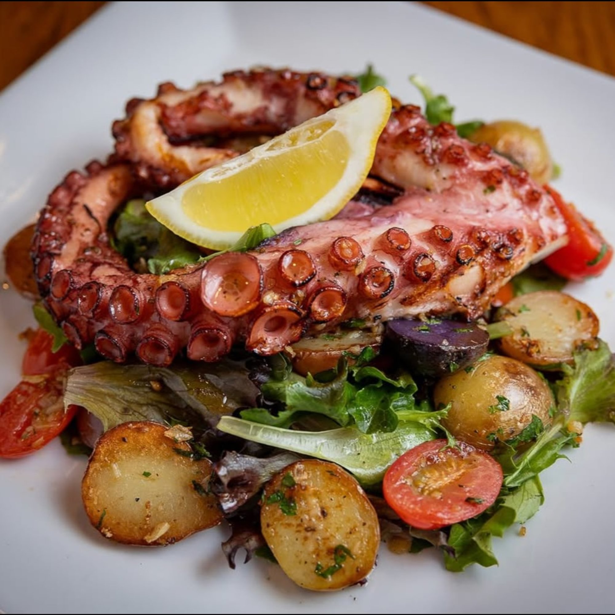 Pulpo (Octopus)