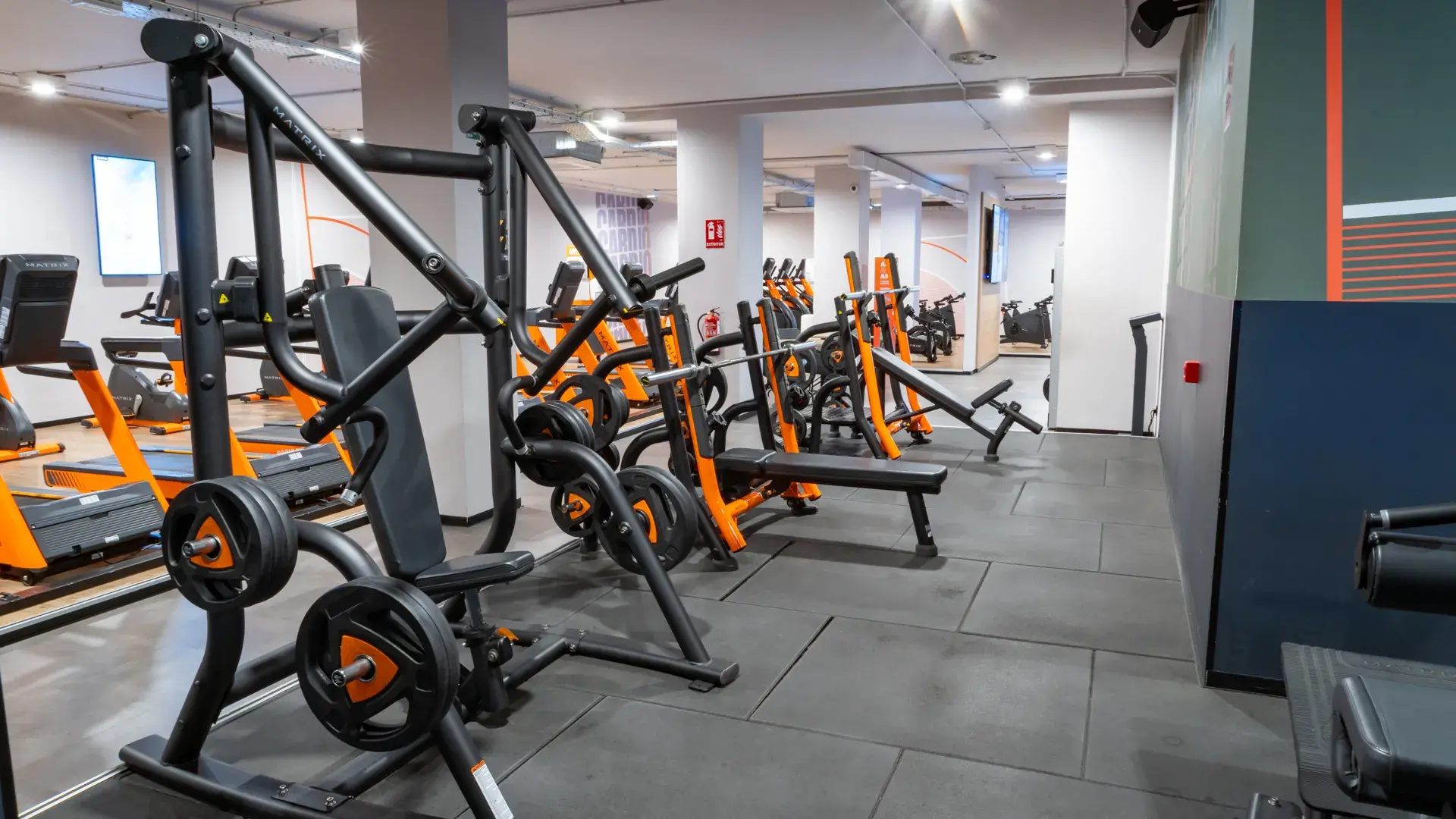 Galería en miniatura