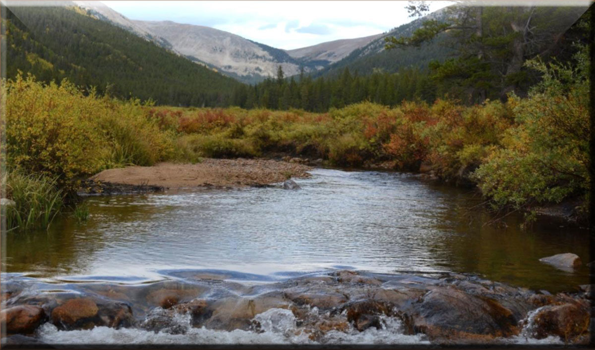 Quartz Creek Lodge Pitkin in Pitkin, CO (970) 6416...