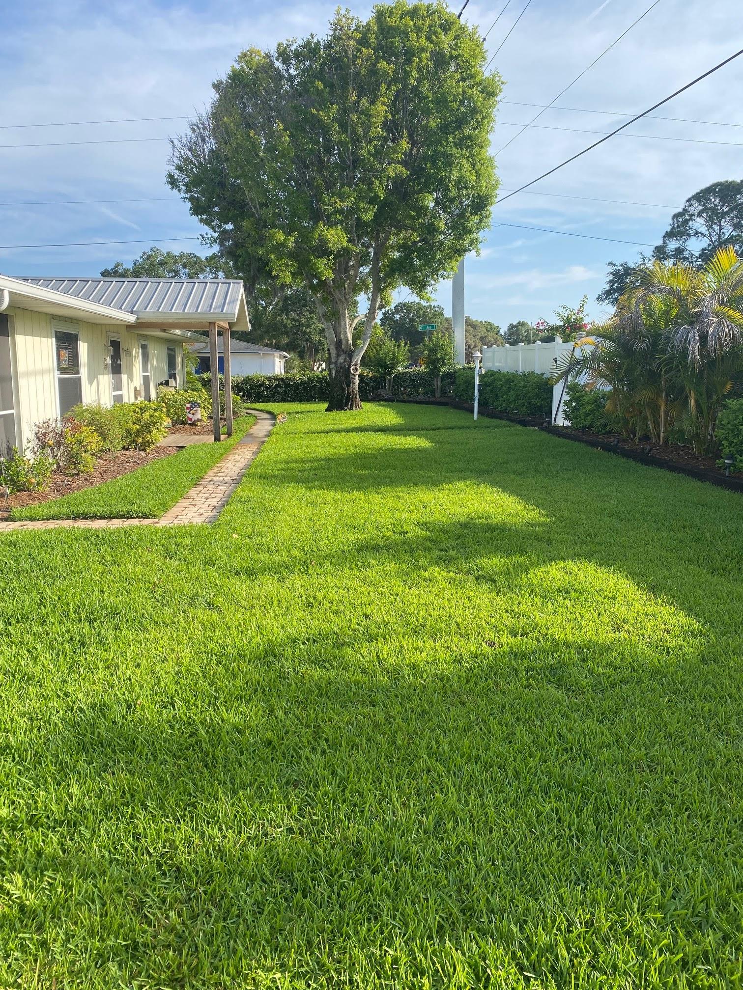 Forever Green Lawn and Pest Control Image