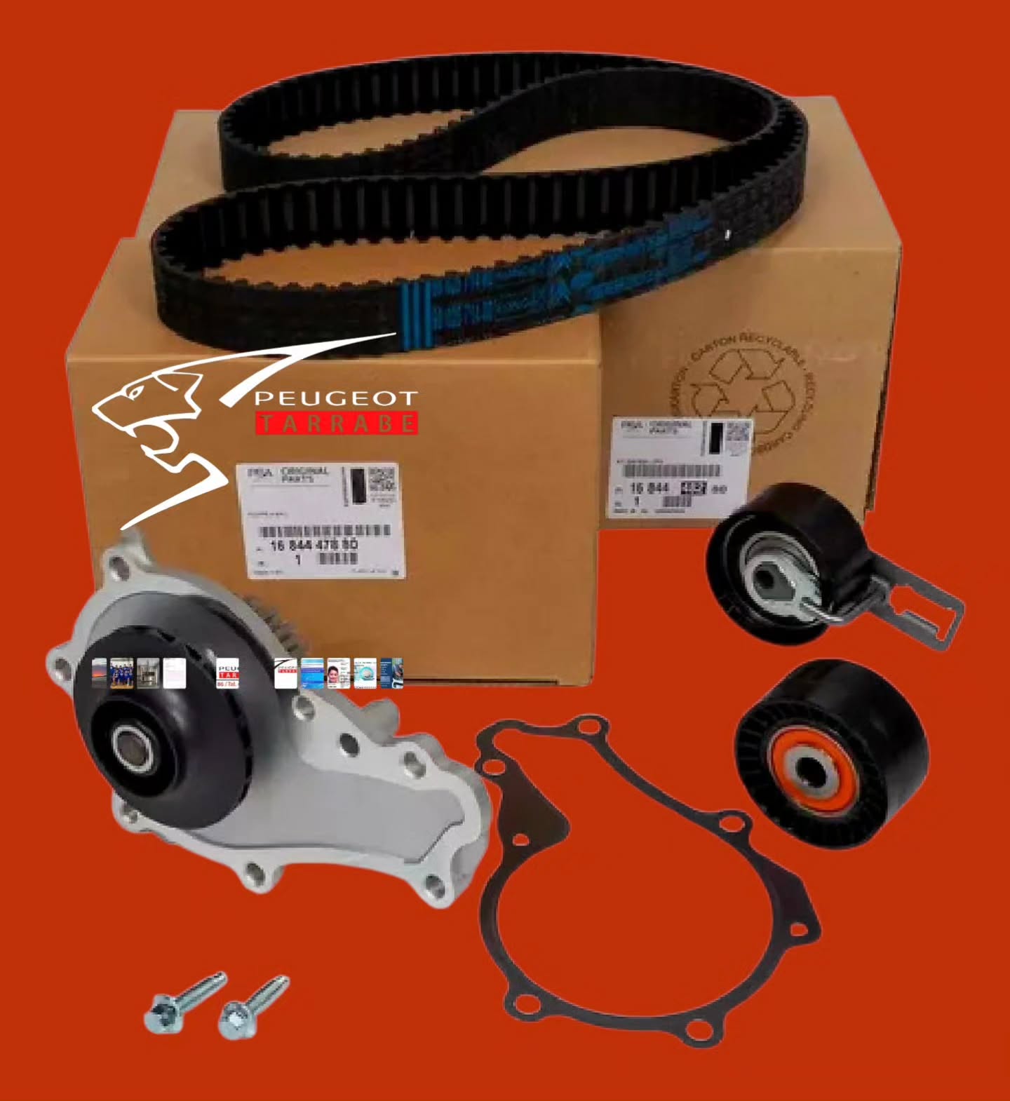 Galería en miniatura