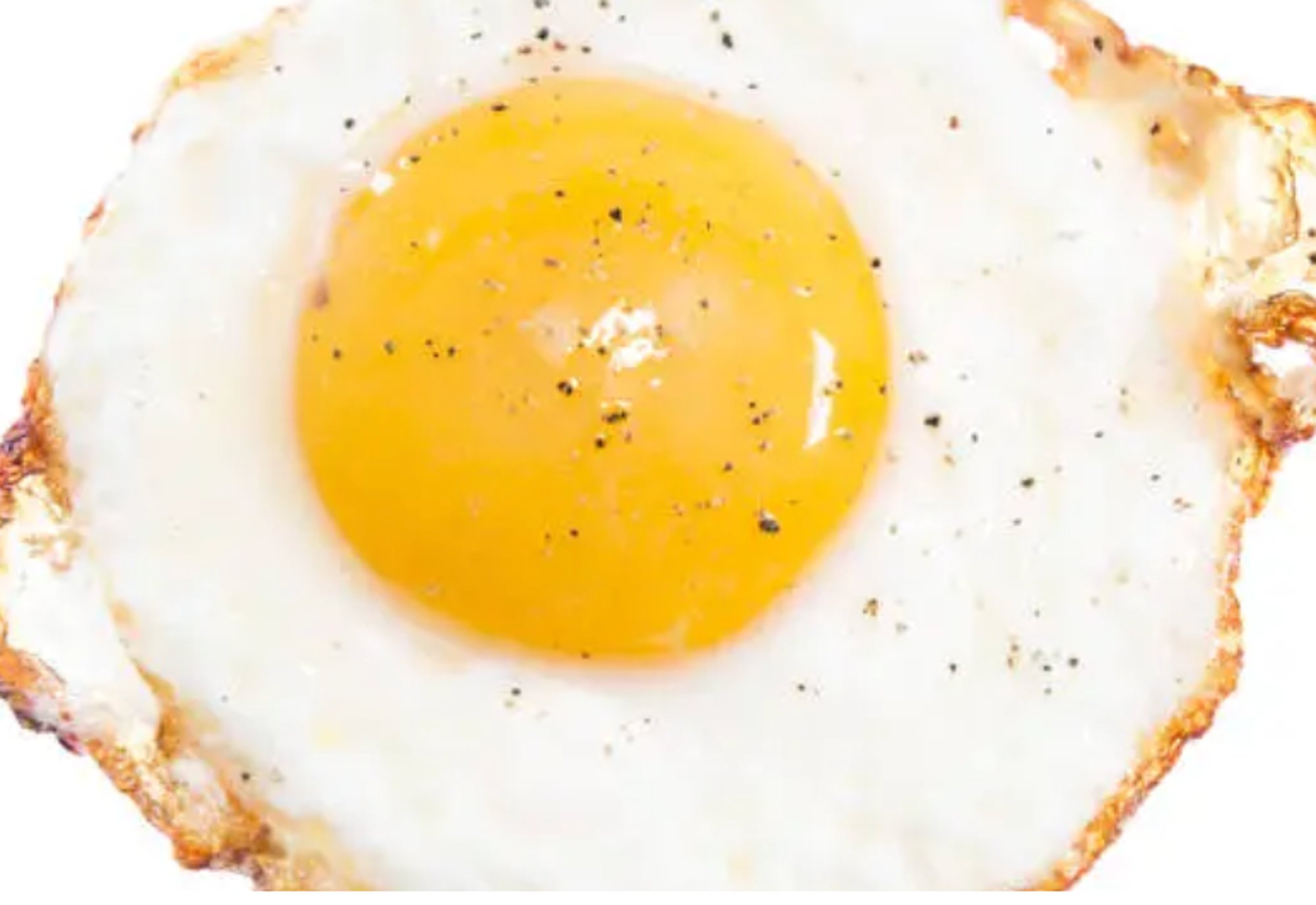 Fried Egg