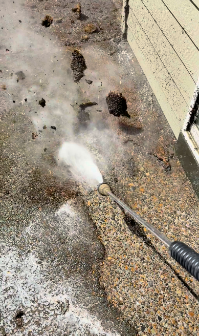 Worth It Exterior Cleaning - Hillsboro, Beaverton, Lake Oswego Image