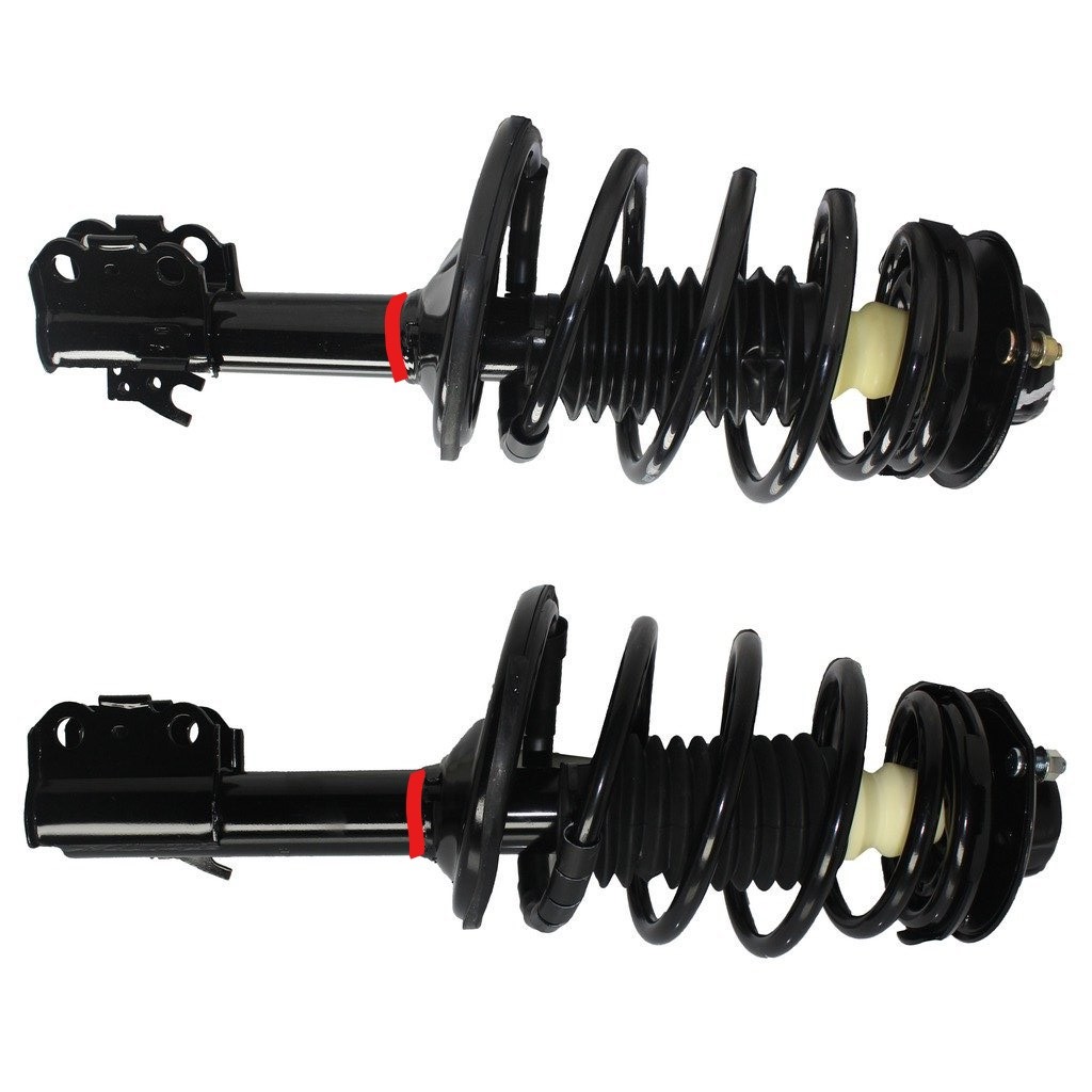 Struts-N-Things, Inc. Logo