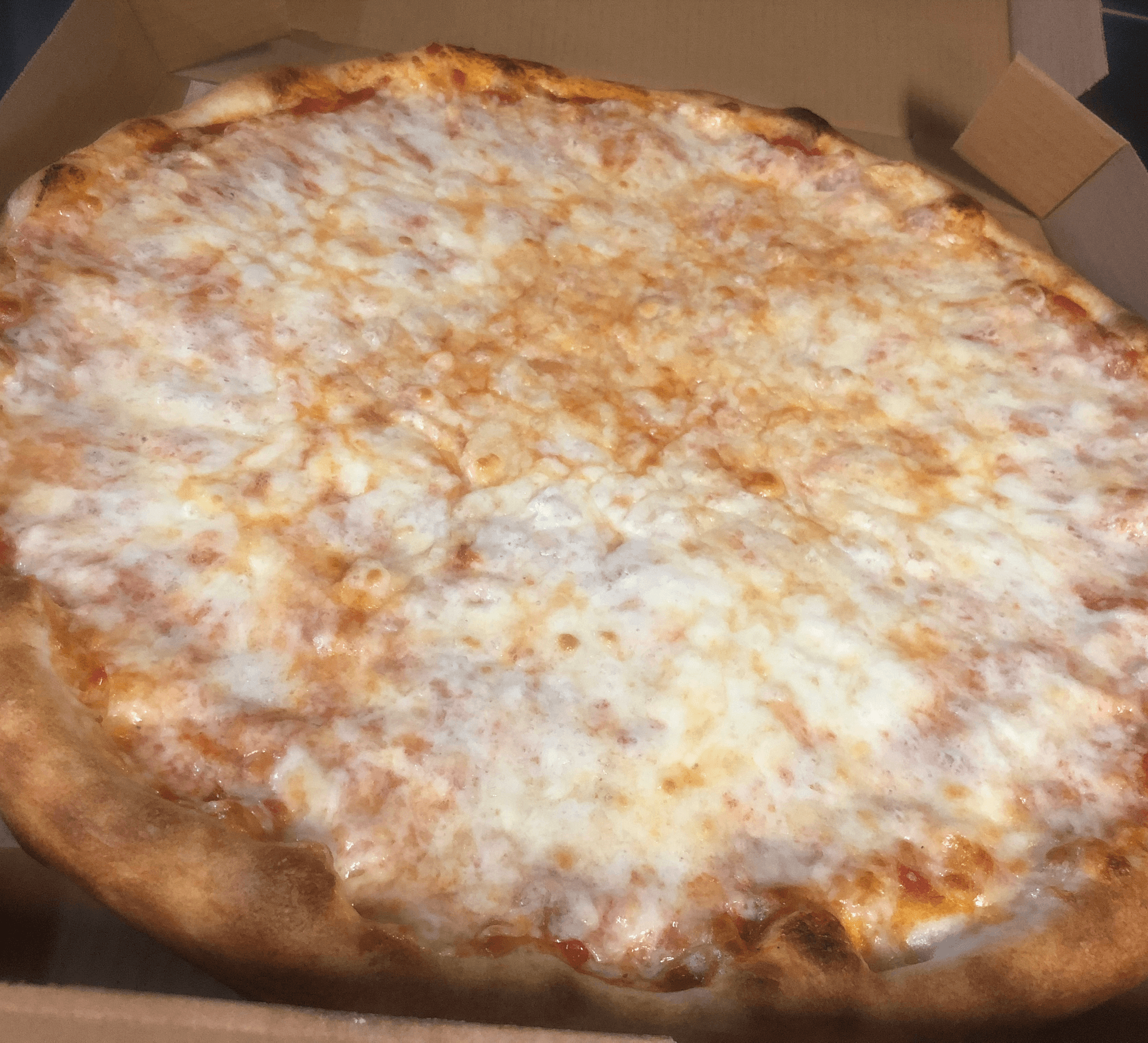 Hand Tossed Thin Crust - Cheese Pizza