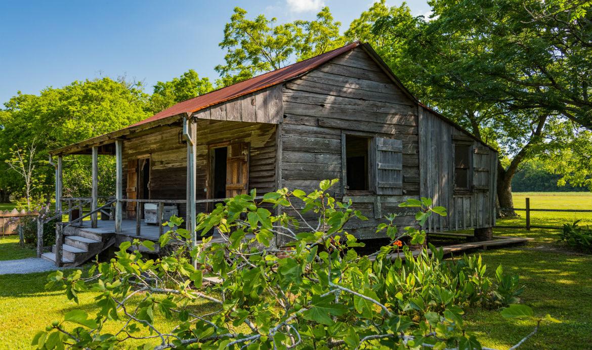 Cajun Encounters Tours