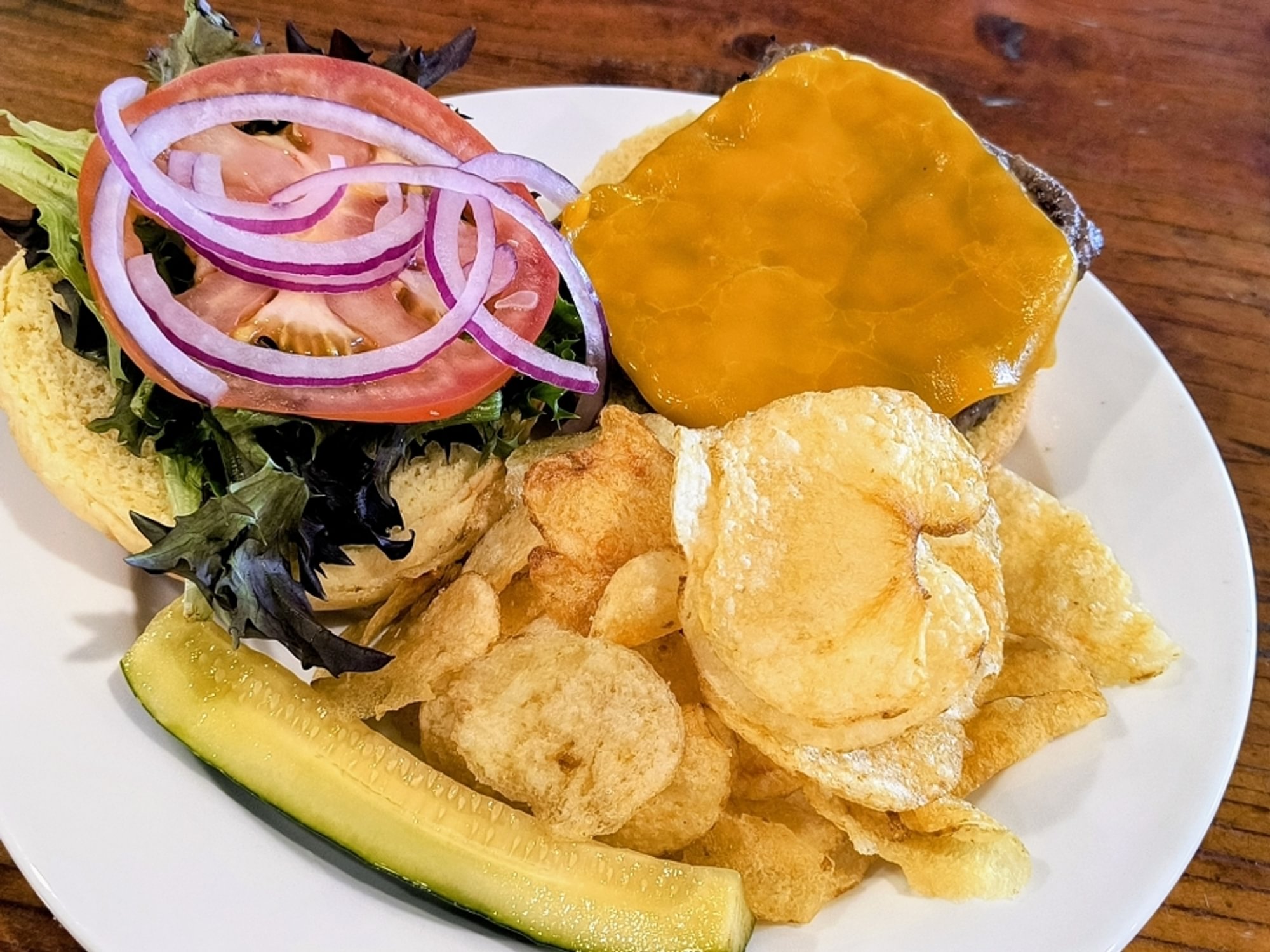 Bison Burger