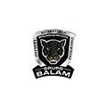 Grupo Balam Tapachula