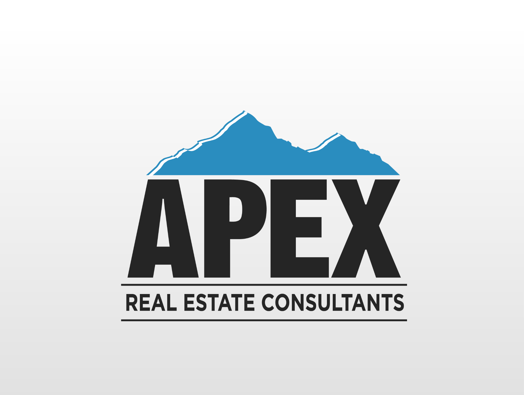 Apex Real Estate Consultants Photo