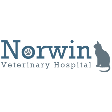 Norwin Veterinary Hospital Photo
