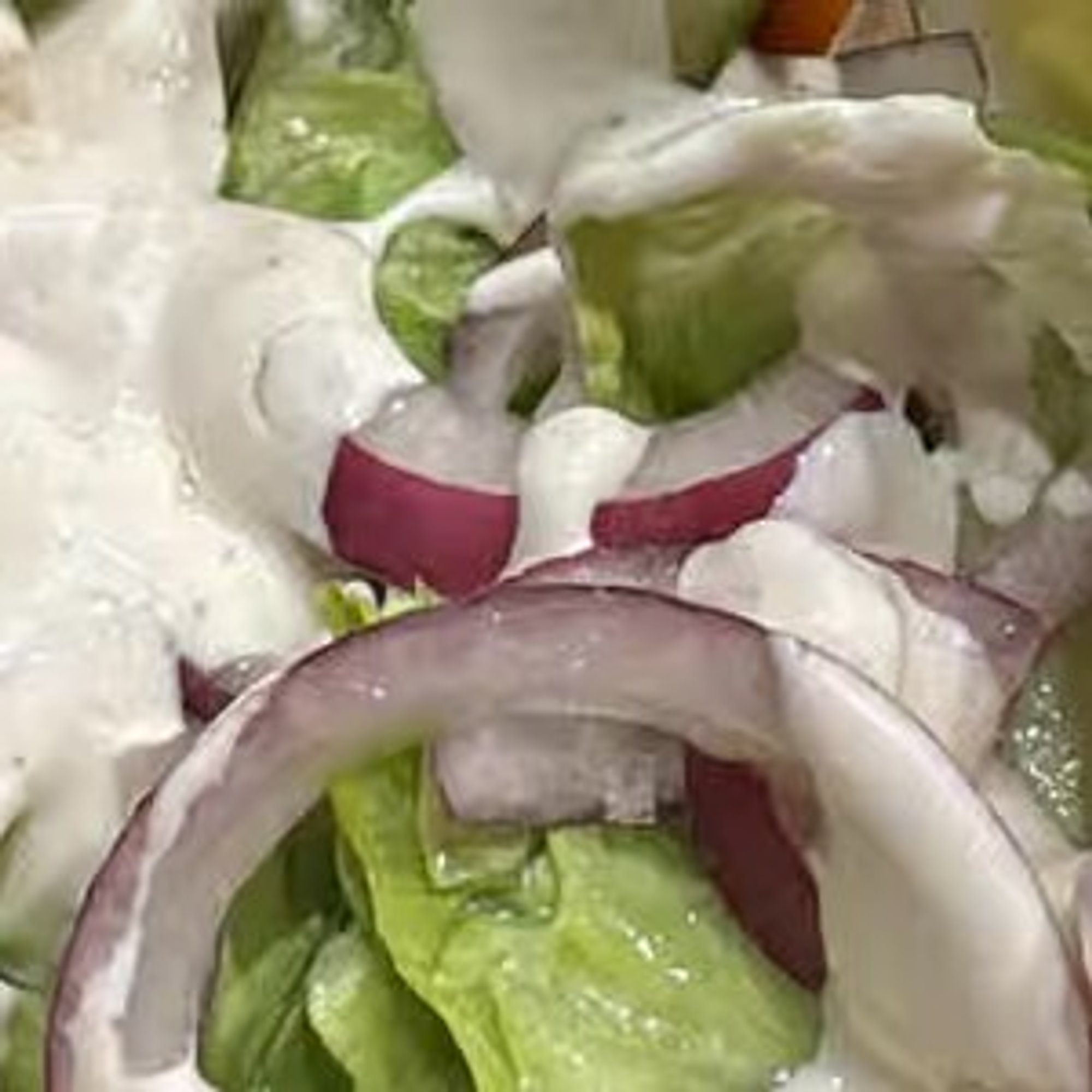 Everest garden salad
