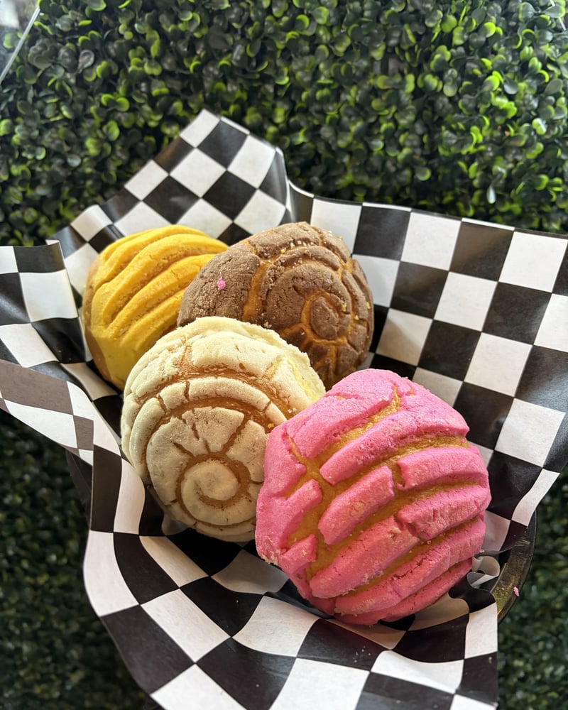 Mini Conchas Basket (4)