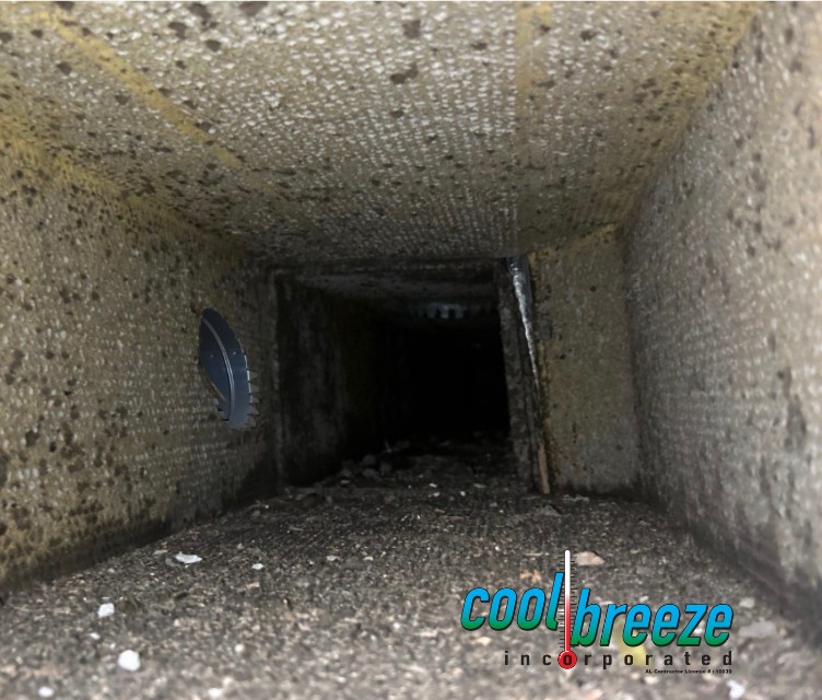 Cool Breeze, Inc. Image