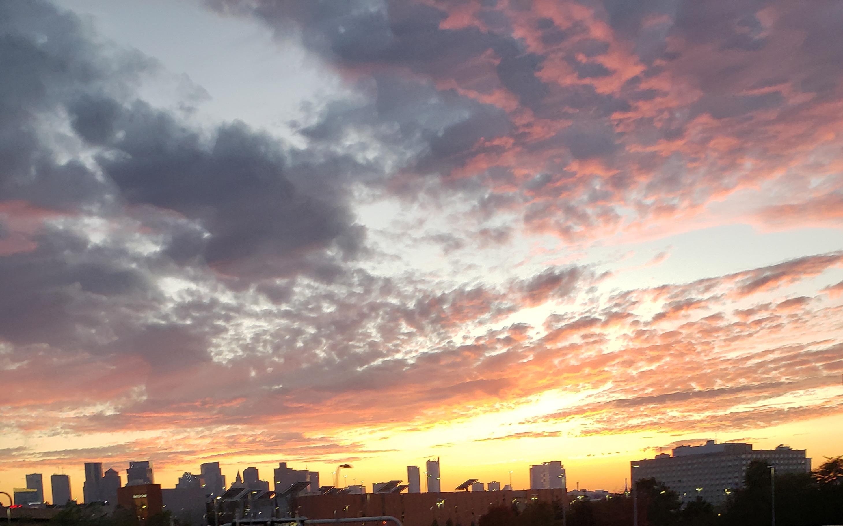 McDonald Tree Service Image