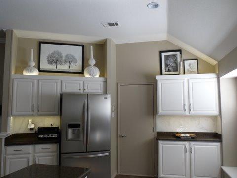 Lonestar Painters Logo