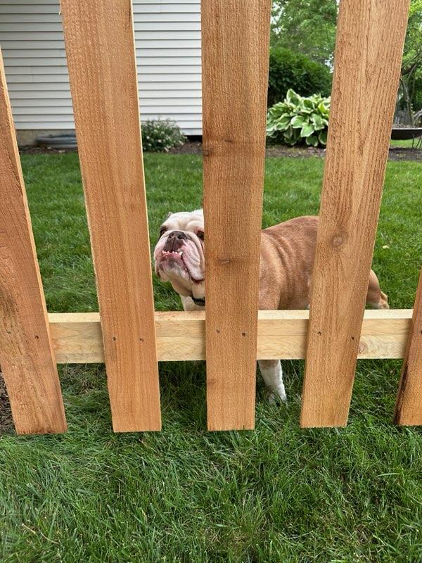 Top Rail Fence Naperville Image