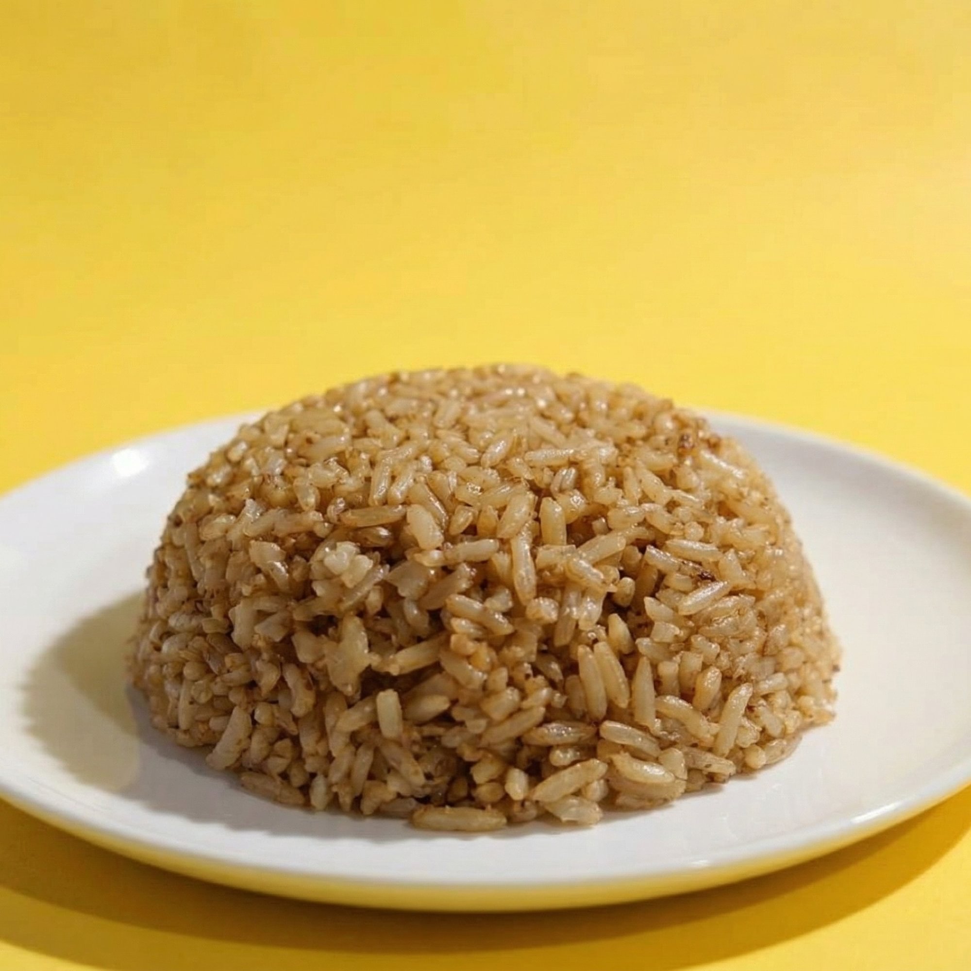 Plain Fried Rice