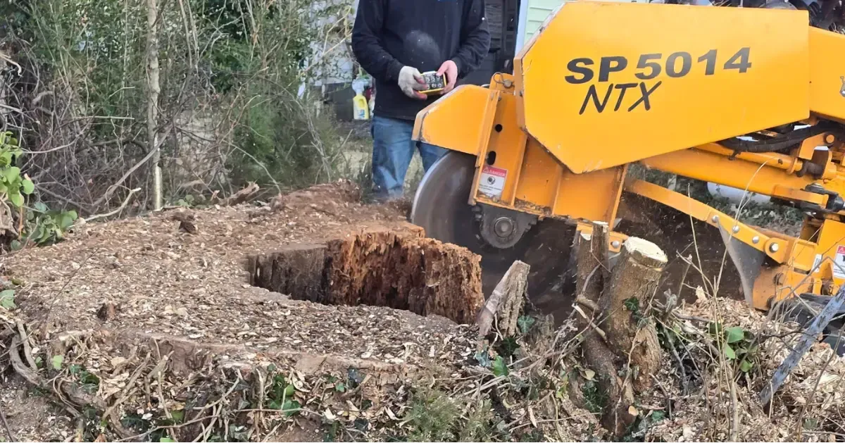 Premier Tree & Landscaping Image