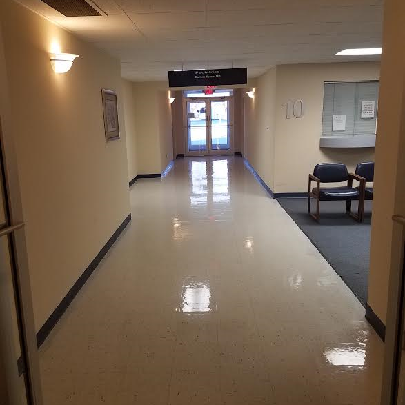 All In One Professional Cleaning Service LLC Logo