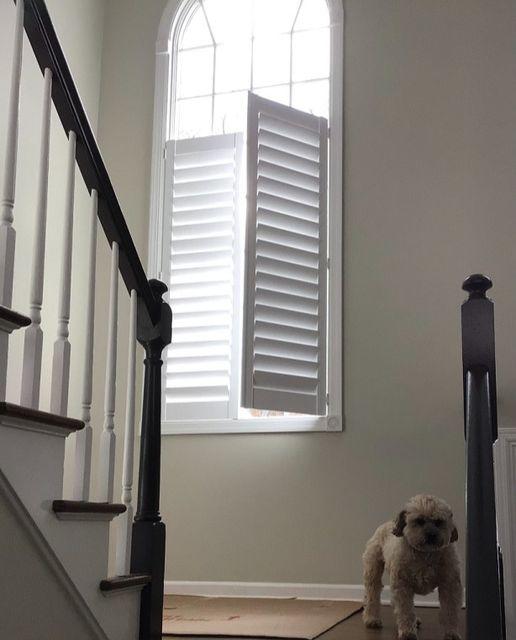 Big windows are gorgeous, but you need the right window treatments to maintain your family's privacy. This Phillipsburg home's gorgeous CafeÌ Shutters let the light flood in and keep your Pittstown home secure.  BudgetBlindsPhillipsburg  CafeShutters  PlantationShutters  ShutterAtTheBeauty  FreeConsu