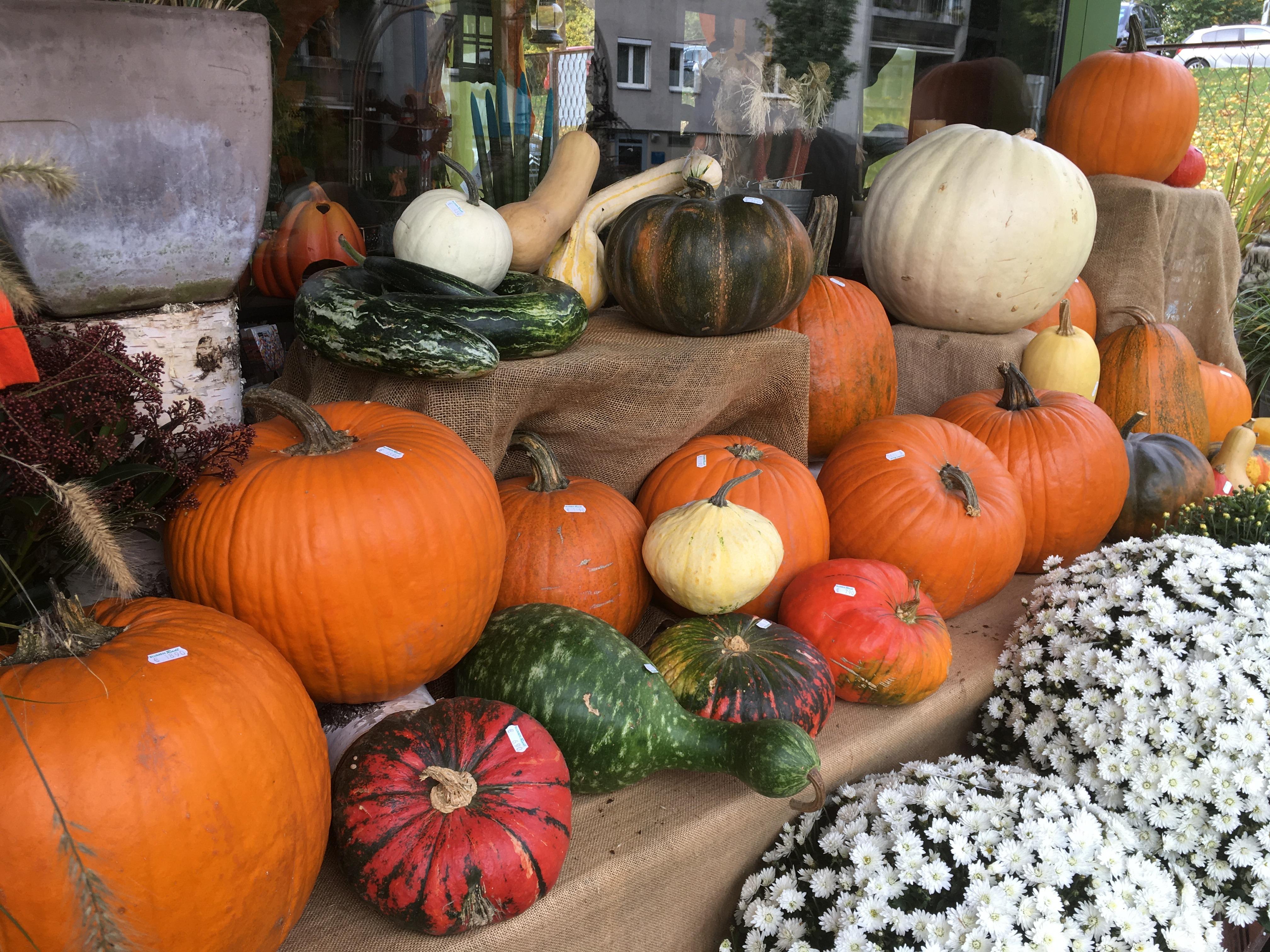 Blumen Radl Wien Blumen Radl Wien