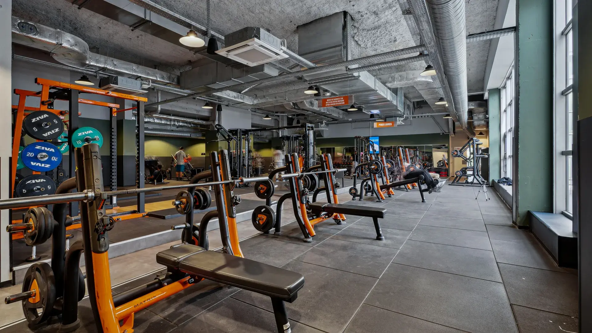 Miniature de la galerie