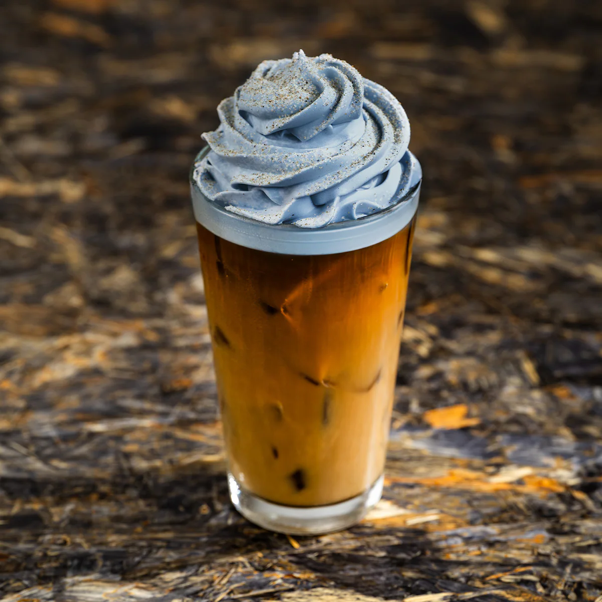 Specialty Chai Cold Brew
