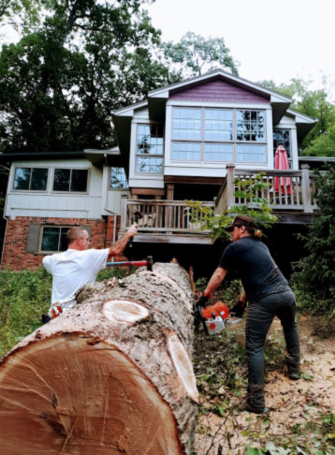 Polgar Tree Service & Removal LLC Photo