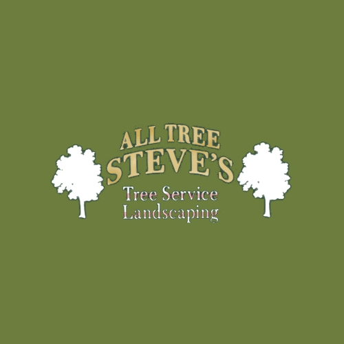 All Tree Steve's Logo
