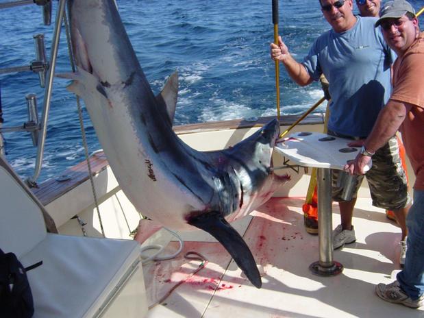 Images Captain Art's Fishing Charters