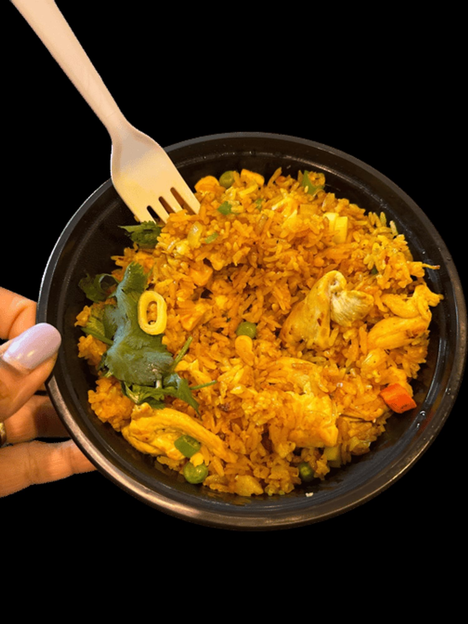 Chicken Curry Lemongrass Fried Rice