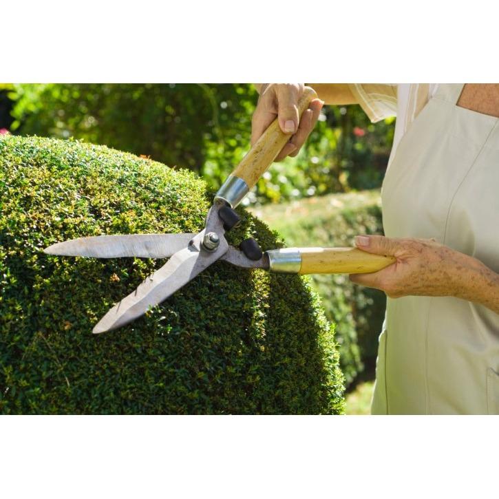 Vista Verde Landscape Logo