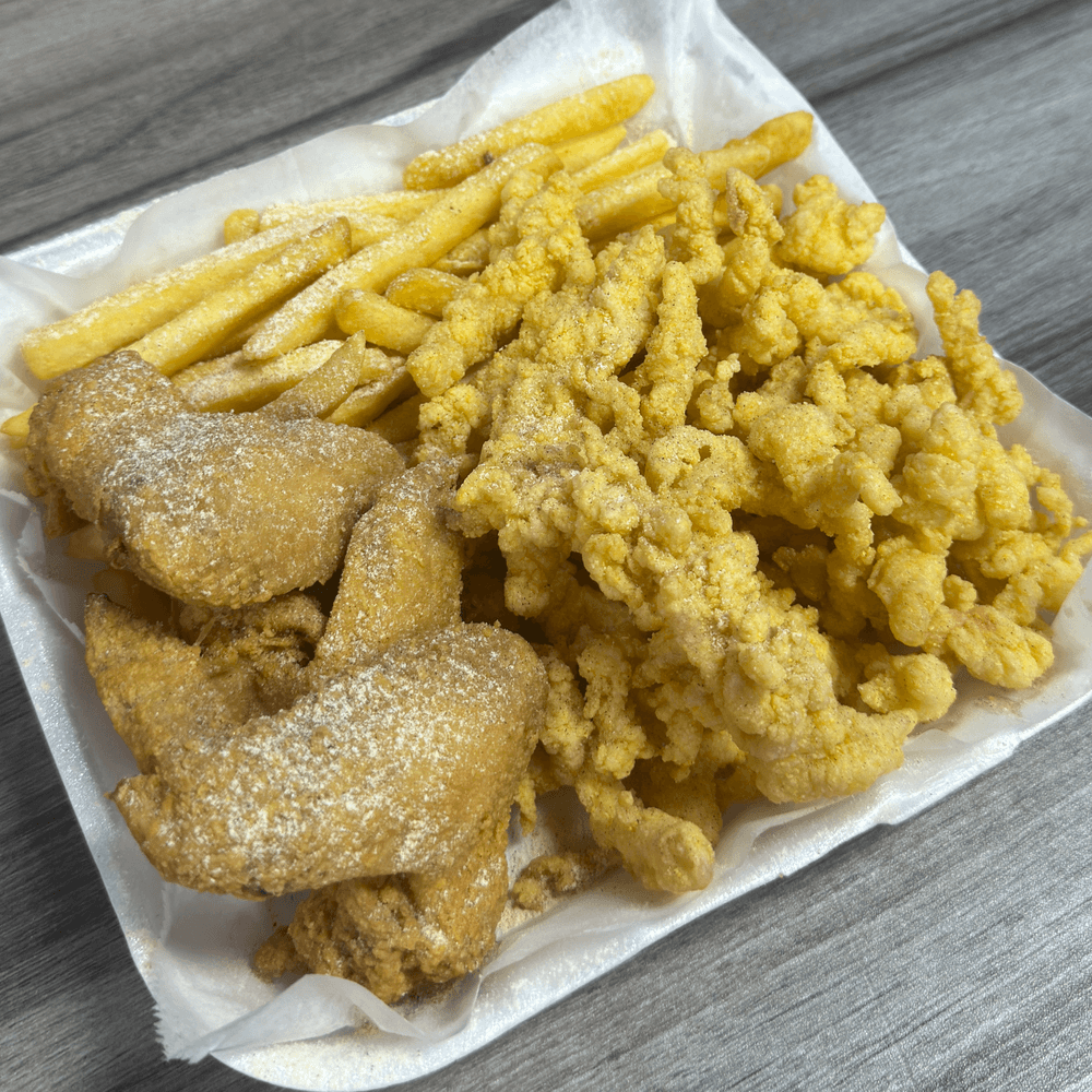 Conch & Wings
