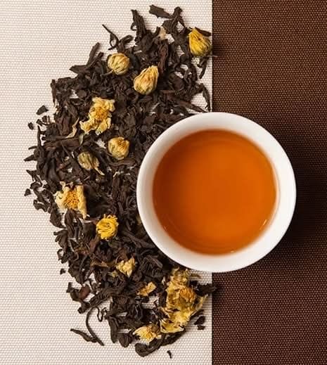 Chrysanthemum Pu'er