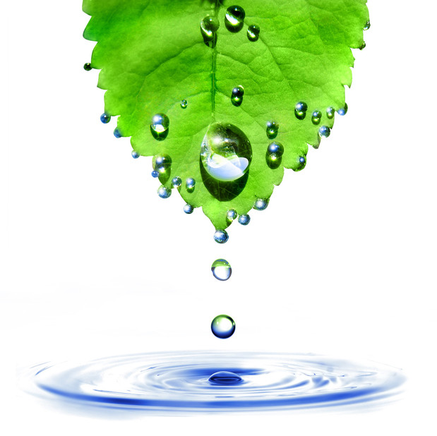 Images Kings Janitorial Service