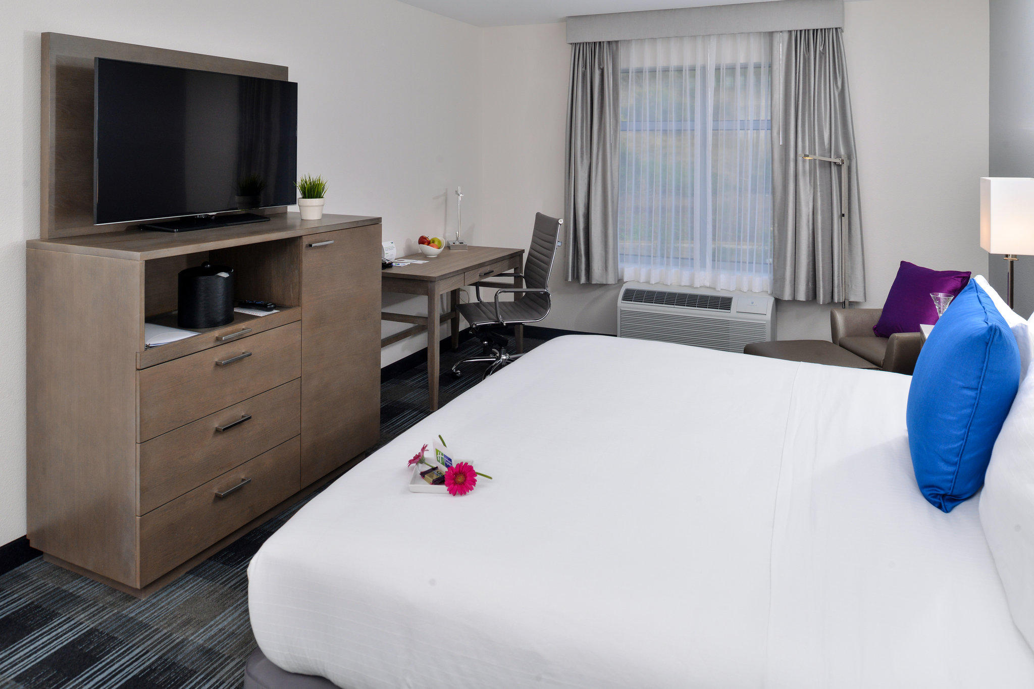 Holiday Inn Express & Suites San Diego - Mission Valley Photo