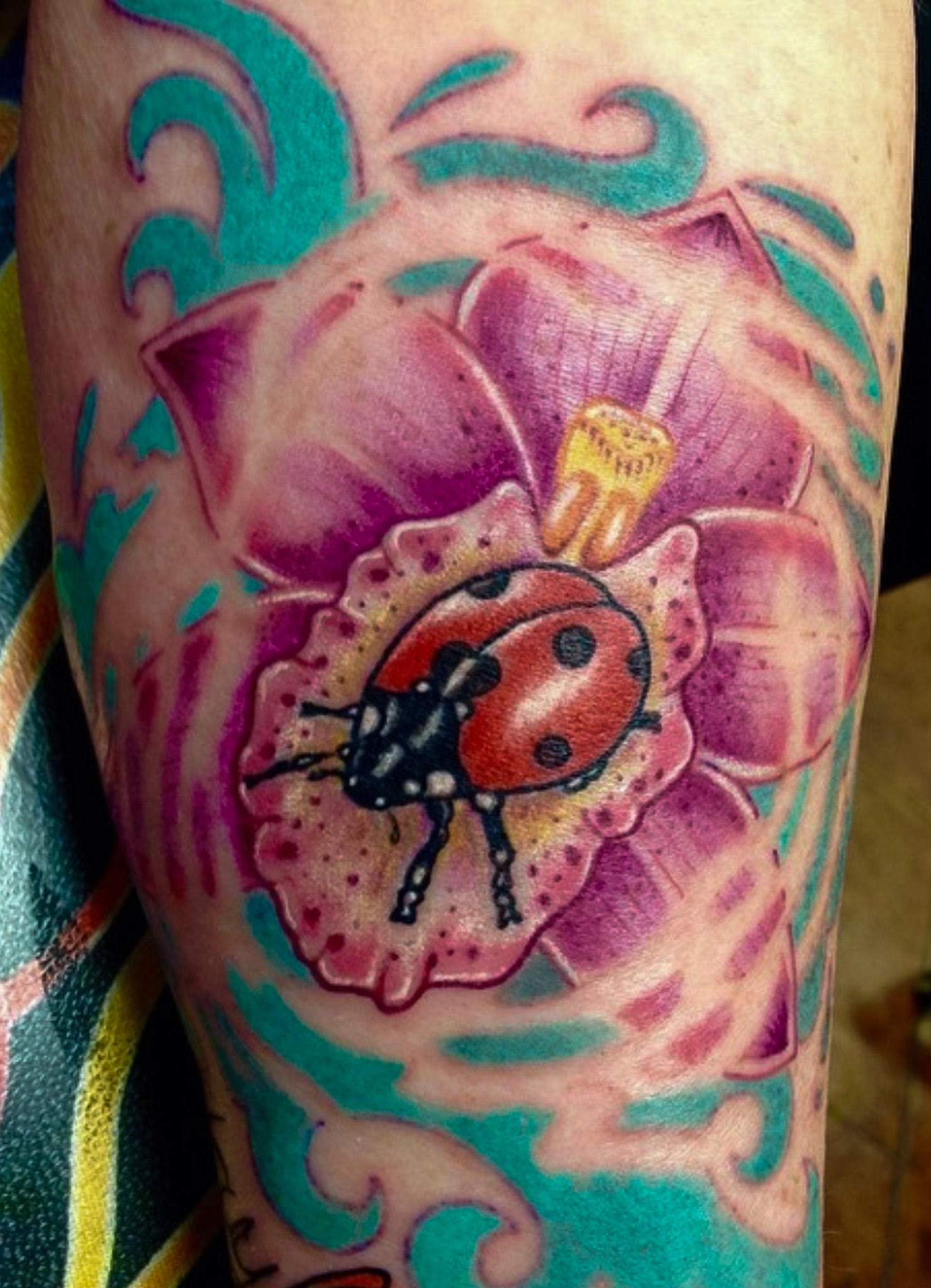 Birds Eye Tattoo and Art Gallery Image