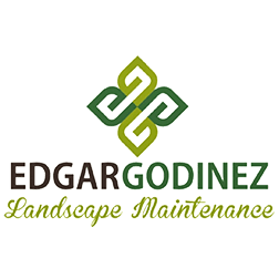 Edgar Godinez Landscape